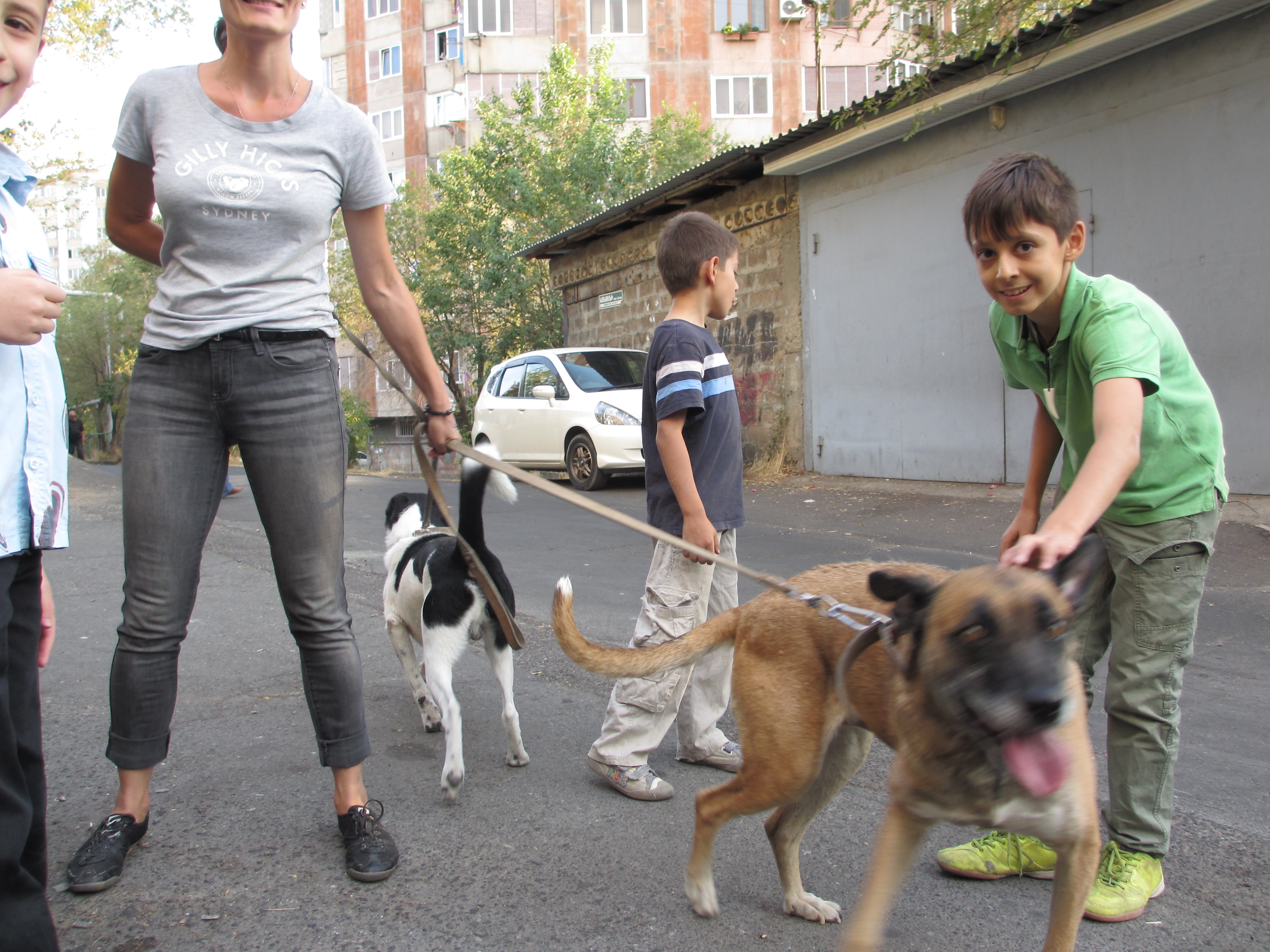 Kinder treffen auf unsere geretteten Straßenhunde